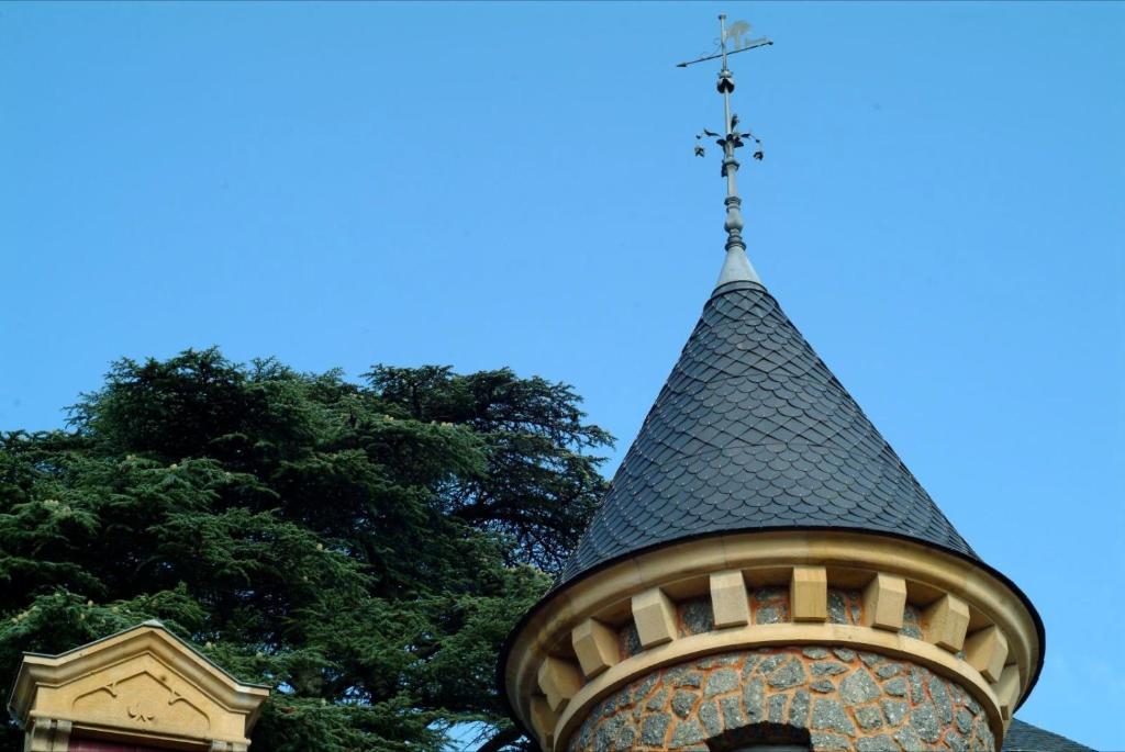 Chambres d'Hôtes Castel Des Cèdres Saint-Honoré Extérieur photo